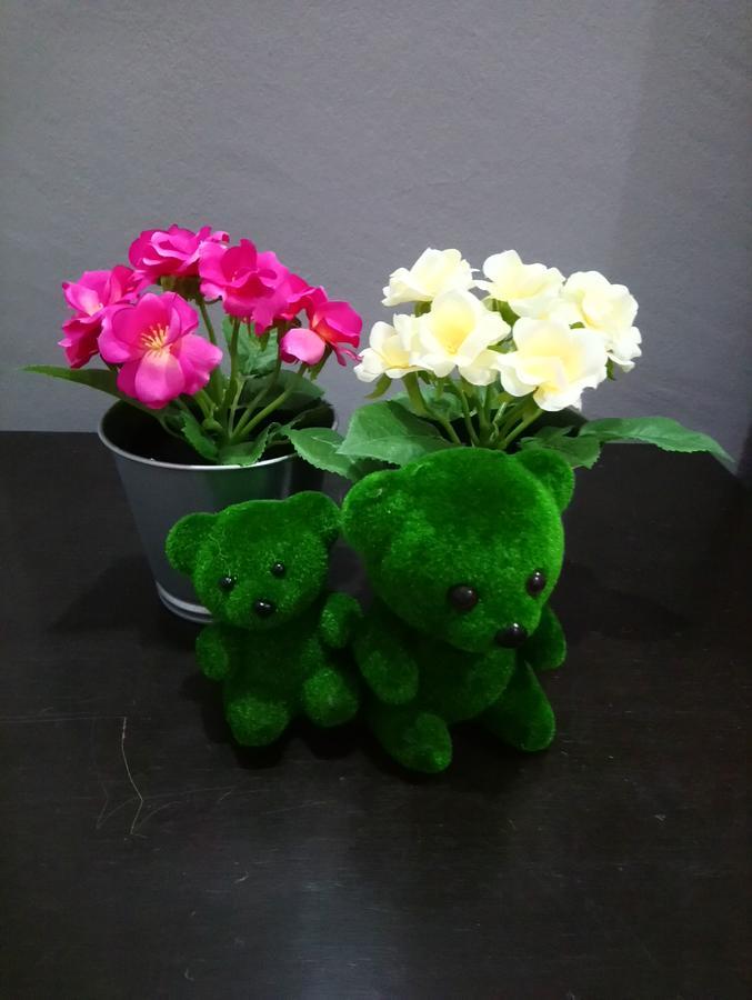 Jb Homestay Bukit Indah Wifi Ciq Mall Legoland Free Parking Johor Bahru Dış mekan fotoğraf